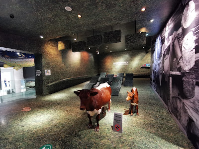 Hohe Tauern National Park Information Centre — fotografia 3
