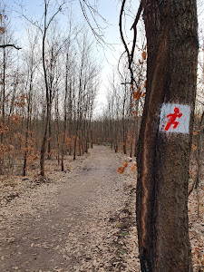 Keresztúri-erdei tanösvény — fotografia 3