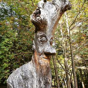 Sentiero Spirito Del Bosco — fotografia 4