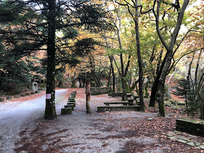 Manganiari Spring — fotografia 5