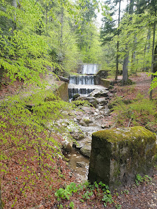 Cascada Regelui