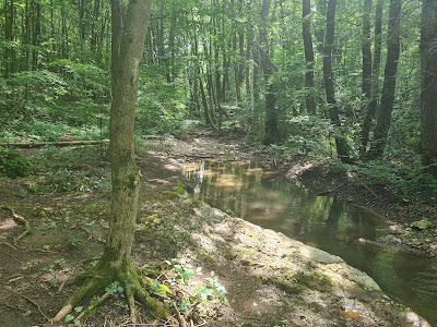 "Krumova vana" waterfall — fotografia 4