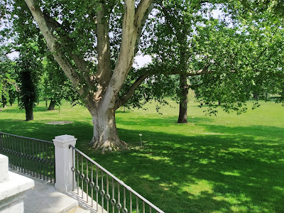 Degenfeld-Schomburg Castle — fotografia 4