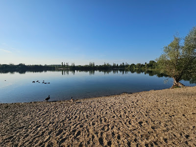 Binsfeldsee