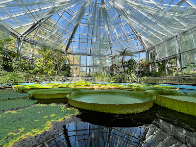 Grădina Botanică Alexandru Borza