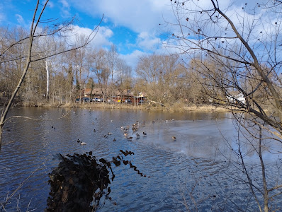 Öreg-tó — fotografia 4