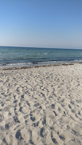 Ishøj beach — fotografia 5