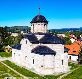 Biserica Domnescă Sfântul Nicolae — fotografia 5