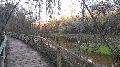 Guadiamar Green Corridor — fotografia 3