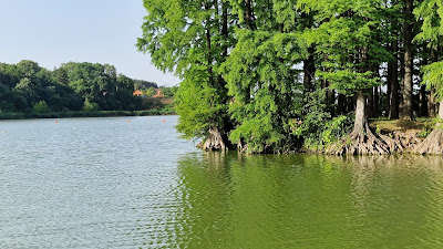 Lipnik Forest Park — fotografia 3