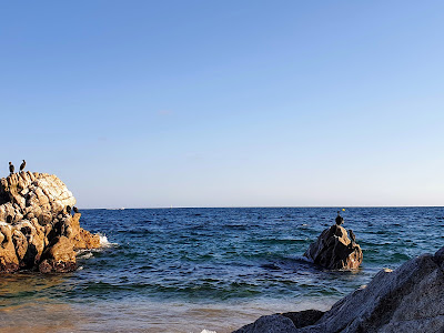 Platja de la Murtra — fotografia 4