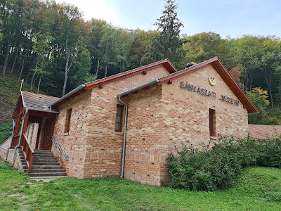 Ajkai Bányászati Múzeum Őslény-és Kőzettár — fotografia 2