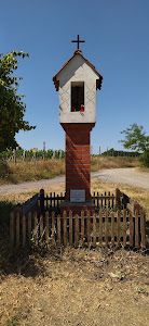 Observation tower Cow Mountain — fotografia 3