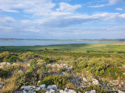 Nature Park Vrana Lake - ornithological reserve — fotografia 5