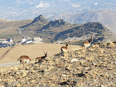 Hoya De La Mora — fotografia 3