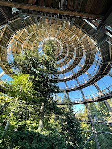 Baumwipfelpfad Bavarian Forest — fotografia 3