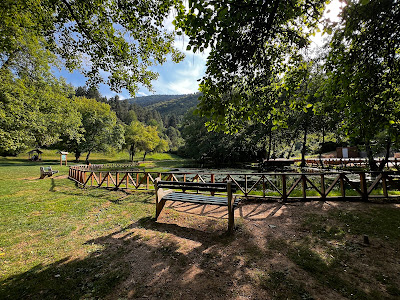 Stojčevac — fotografia 4