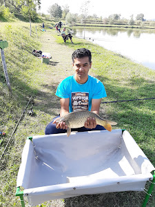 Balta Bela