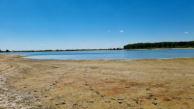 Ilfoveni