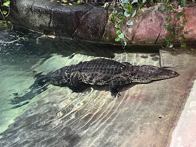 Bioparco — fotografia 4