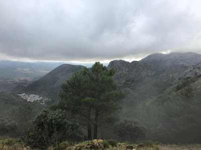 Sendero del Pinsapar — fotografia 5
