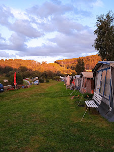 Kemp Bor — fotografia 4