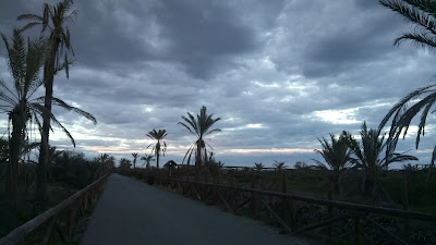 Playa Los Viveros — fotografia 5