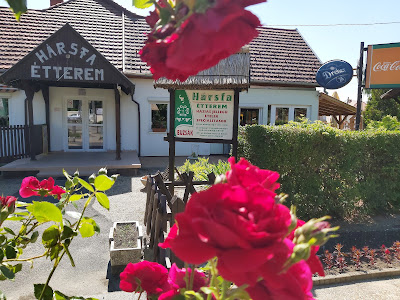 Hársfa Étterem — fotografia 4