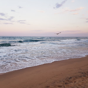 beach Shkorpilovci — fotografia 5