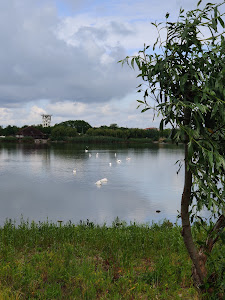 Faleza Murighiol