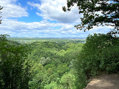 Bukowa Forest Landscape Park — fotografia 4