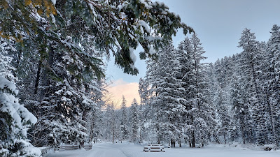 Kościeliska Valley — fotografia 5