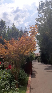 Parcul "Pădurea Vedea" — fotografia 4