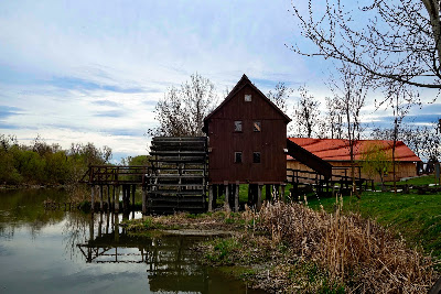 Water Edge-Runner Mill Jelka — fotografia 3