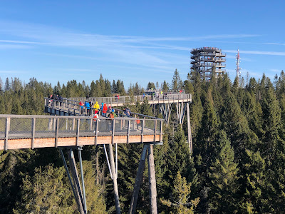 Treetop Walk Bachledka — fotografia 4
