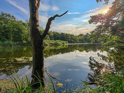 Jezioro Czarna Łacha