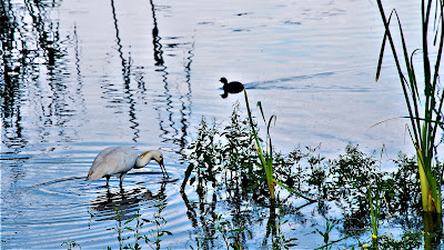Laguna de Fuente del Rey — fotografia 5
