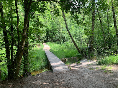 Brunssummerheide — fotografia 5
