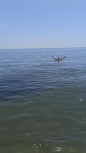 Бяла — fotografia 2