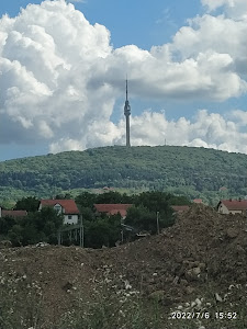 Avala — fotografia 3