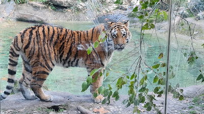 Parcul Natura Viva — fotografia 4