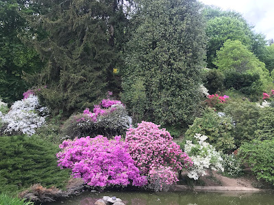 Parco Burcina Felice Piacenza — fotografia 3