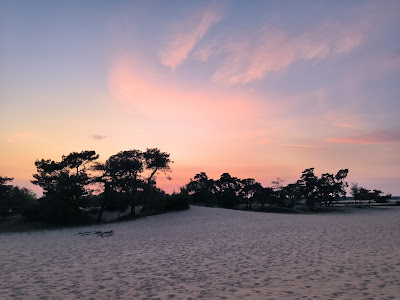 Uitkijkpunt Loonse & Drunense Duinen — fotografia 5