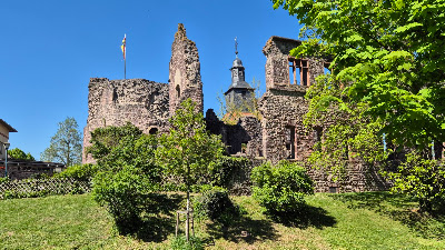 Burg Hayn — fotografia 3