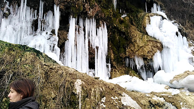 Cascada Mezotermală Toplița — fotografia 2