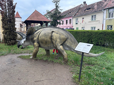 Muzeul de Istorie Naturală din Sibiu — fotografia 3