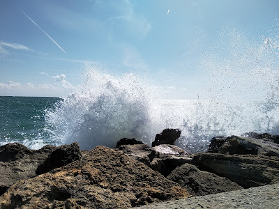 Riviera beach free zone — fotografia 4
