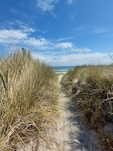 Lyngså Strand — fotografia 3