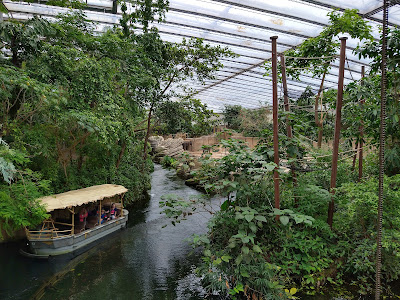 Wildlands — fotografia 3