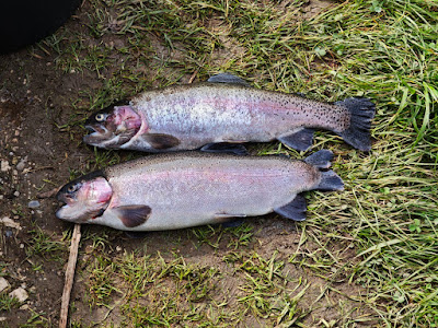 Matzes fish and Angel Park — fotografia 4